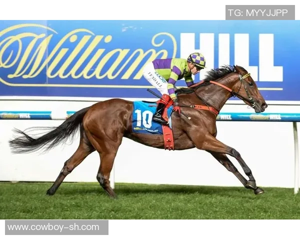 WilliamHill体育盛典夜精彩纷呈全场期待决战时刻来临 WilliamHill体育盛典夜精彩纷呈全场期待决战时刻来临