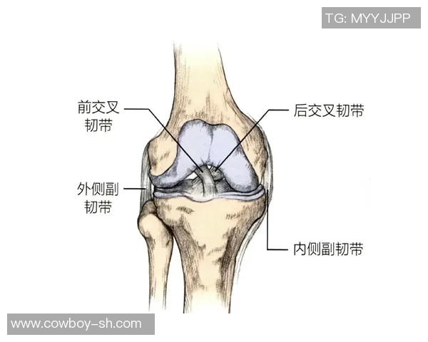 运动损伤的预防与康复方法探讨及常见案例分析 运动损伤的预防与康复方法探讨及常见案例分析